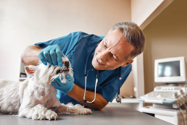 Best Same-Day Emergency Dentist in Marietta, OK